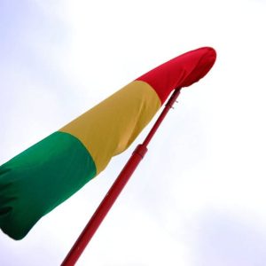 Windjbuujel